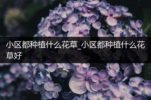 小区都种植什么花草_小区都种植什么花草好