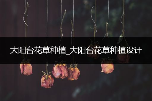 大阳台花草种植_大阳台花草种植设计