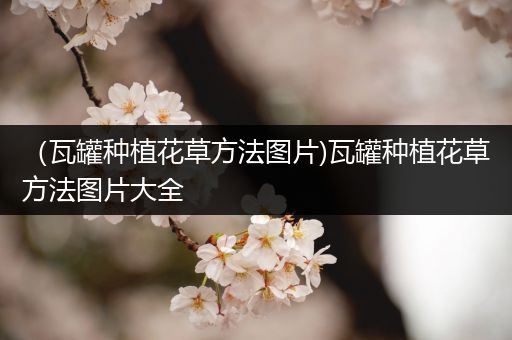 （瓦罐种植花草方法图片)瓦罐种植花草方法图片大全