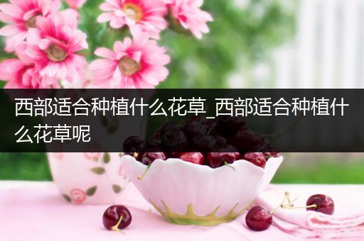 西部适合种植什么花草_西部适合种植什么花草呢