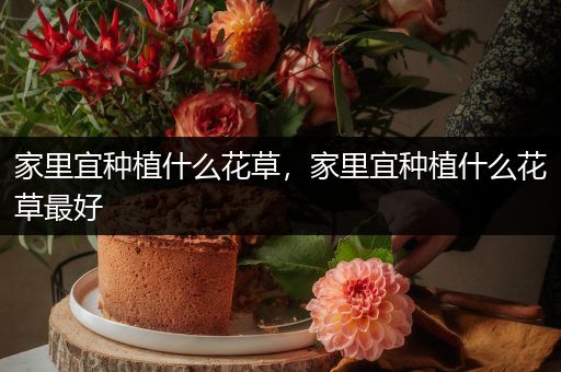 家里宜种植什么花草，家里宜种植什么花草最好