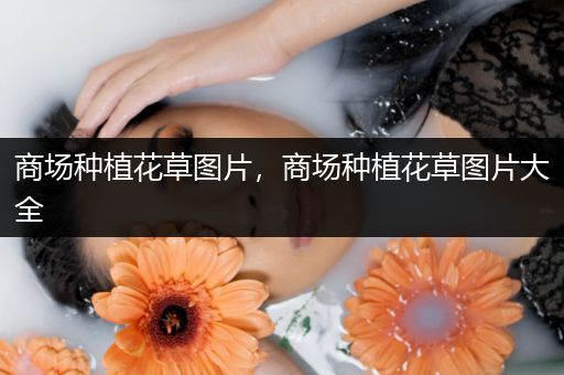 商场种植花草图片，商场种植花草图片大全