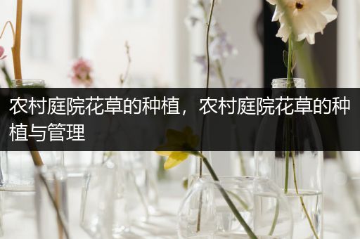 农村庭院花草的种植，农村庭院花草的种植与管理