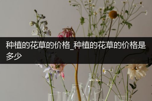 种植的花草的价格_种植的花草的价格是多少