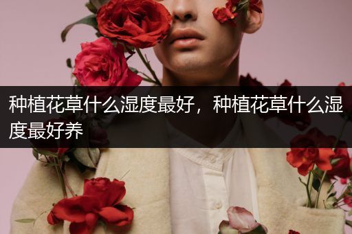 种植花草什么湿度最好，种植花草什么湿度最好养