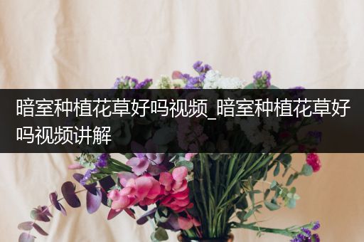 暗室种植花草好吗视频_暗室种植花草好吗视频讲解