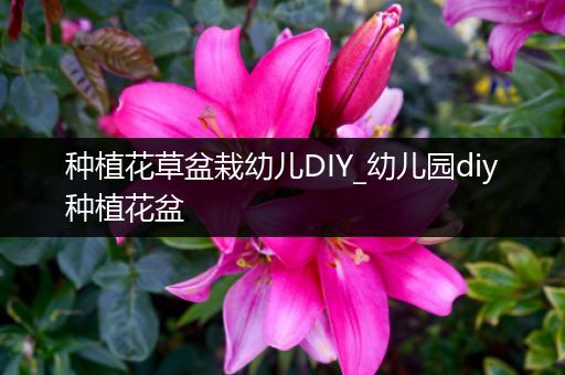 种植花草盆栽幼儿DIY_幼儿园diy种植花盆