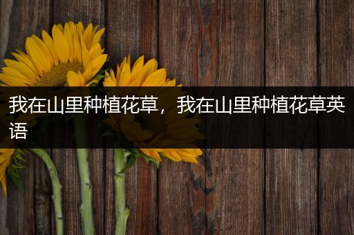 我在山里种植花草，我在山里种植花草英语
