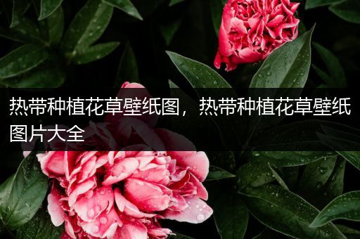 热带种植花草壁纸图，热带种植花草壁纸图片大全