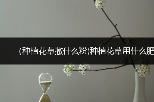 （种植花草撒什么粉)种植花草用什么肥