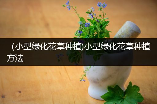 （小型绿化花草种植)小型绿化花草种植方法