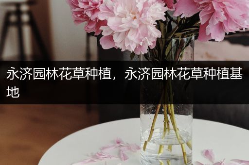 永济园林花草种植，永济园林花草种植基地