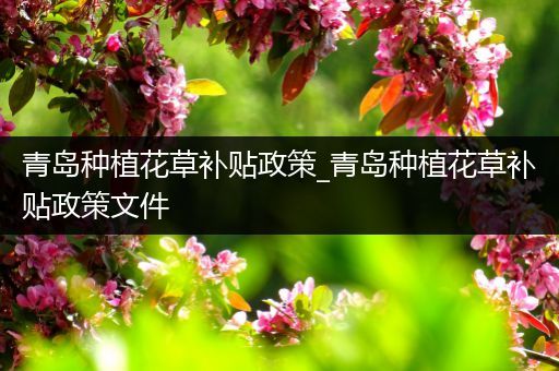 青岛种植花草补贴政策_青岛种植花草补贴政策文件