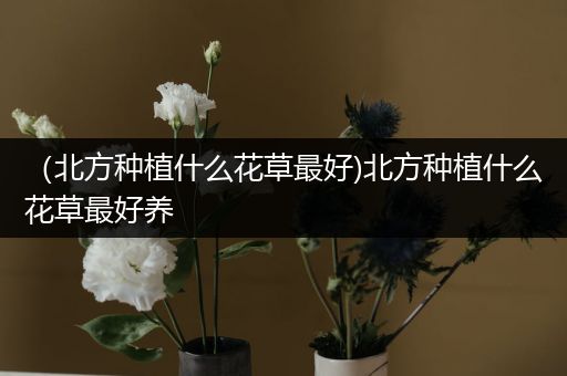 （北方种植什么花草最好)北方种植什么花草最好养