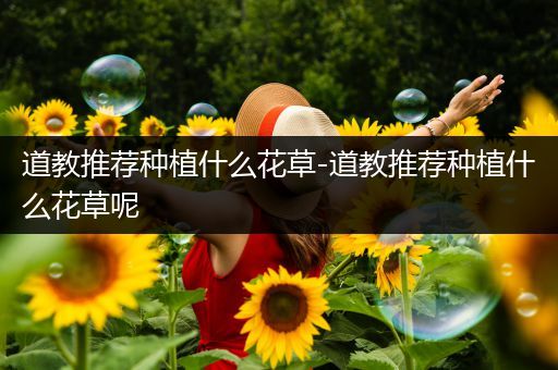 道教推荐种植什么花草-道教推荐种植什么花草呢