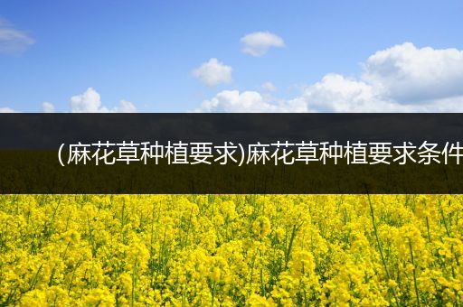 （麻花草种植要求)麻花草种植要求条件