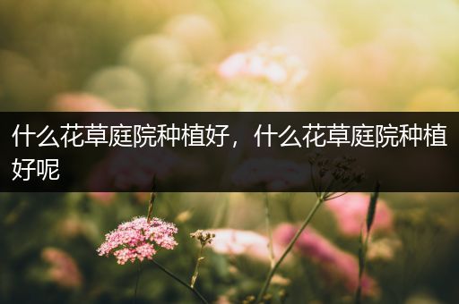 什么花草庭院种植好，什么花草庭院种植好呢