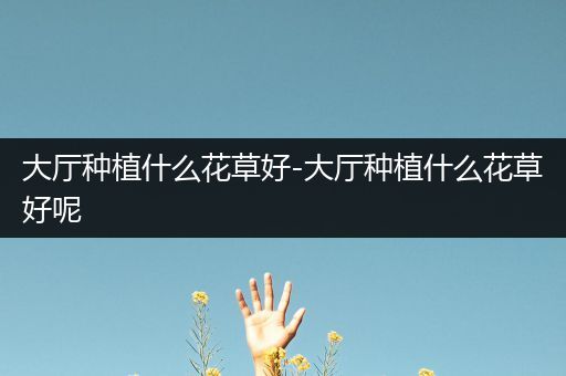 大厅种植什么花草好-大厅种植什么花草好呢