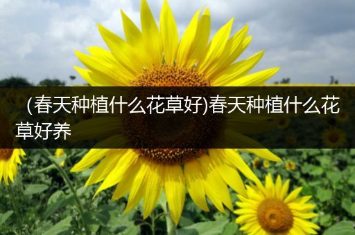 （春天种植什么花草好)春天种植什么花草好养