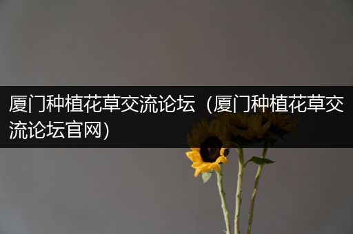 厦门种植花草交流论坛（厦门种植花草交流论坛官网）