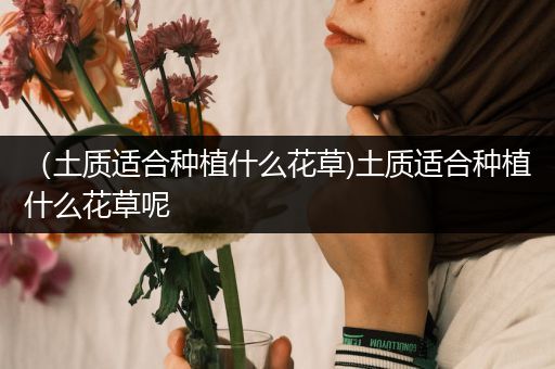 （土质适合种植什么花草)土质适合种植什么花草呢