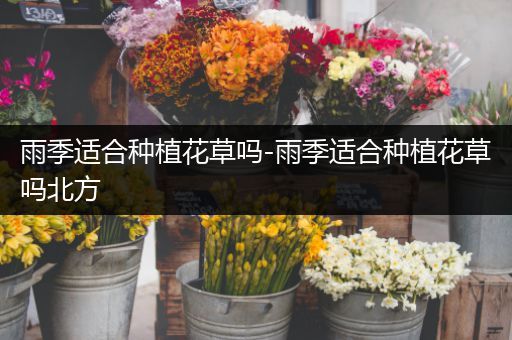雨季适合种植花草吗-雨季适合种植花草吗北方