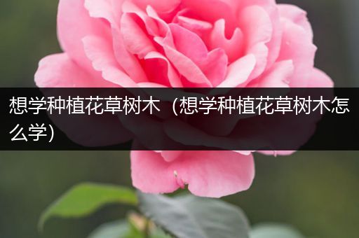 想学种植花草树木（想学种植花草树木怎么学）