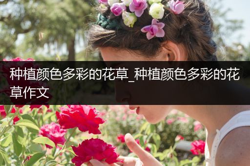 种植颜色多彩的花草_种植颜色多彩的花草作文