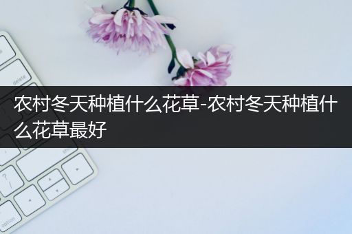 农村冬天种植什么花草-农村冬天种植什么花草最好