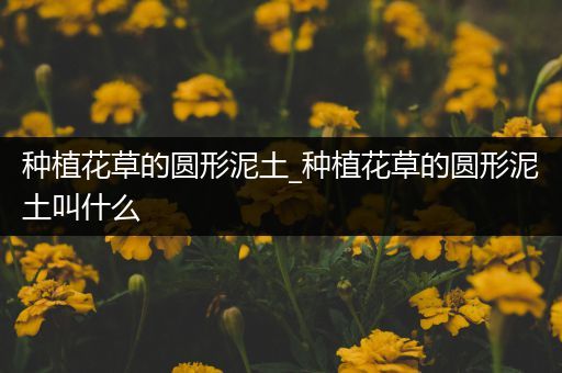 种植花草的圆形泥土_种植花草的圆形泥土叫什么