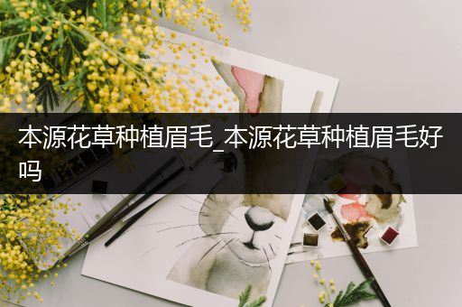 本源花草种植眉毛_本源花草种植眉毛好吗