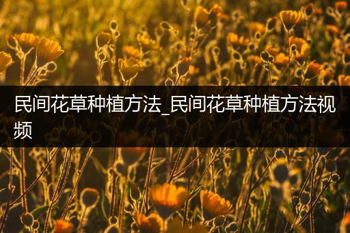 民间花草种植方法_民间花草种植方法视频