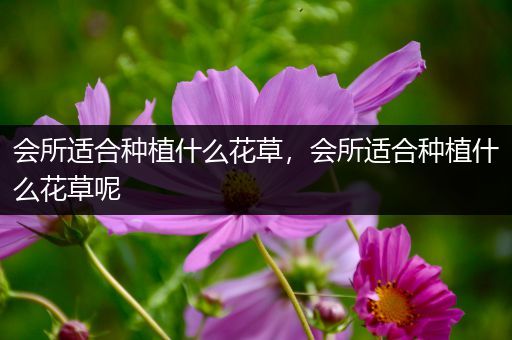 会所适合种植什么花草，会所适合种植什么花草呢