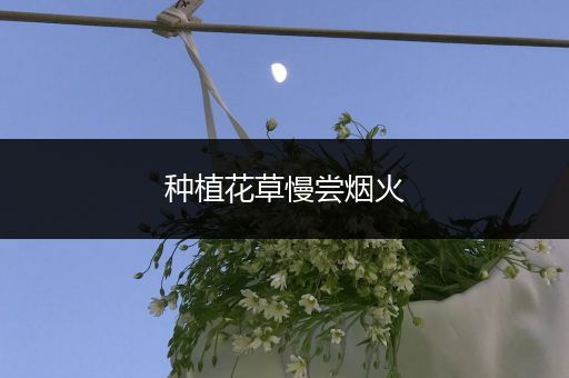 种植花草慢尝烟火