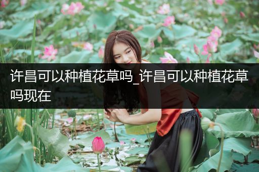 许昌可以种植花草吗_许昌可以种植花草吗现在