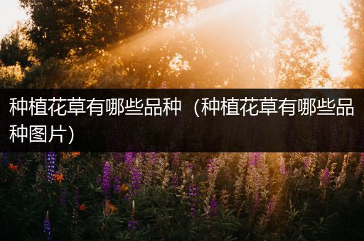 种植花草有哪些品种（种植花草有哪些品种图片）