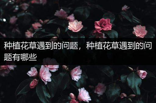 种植花草遇到的问题，种植花草遇到的问题有哪些