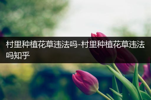 村里种植花草违法吗-村里种植花草违法吗知乎