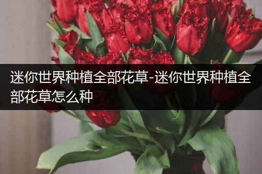 迷你世界种植全部花草-迷你世界种植全部花草怎么种