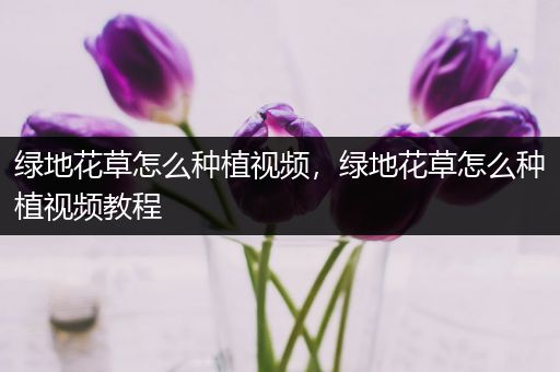 绿地花草怎么种植视频，绿地花草怎么种植视频教程