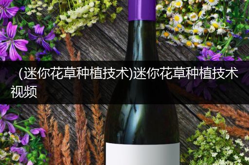 （迷你花草种植技术)迷你花草种植技术视频