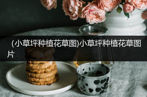 （小草坪种植花草图)小草坪种植花草图片