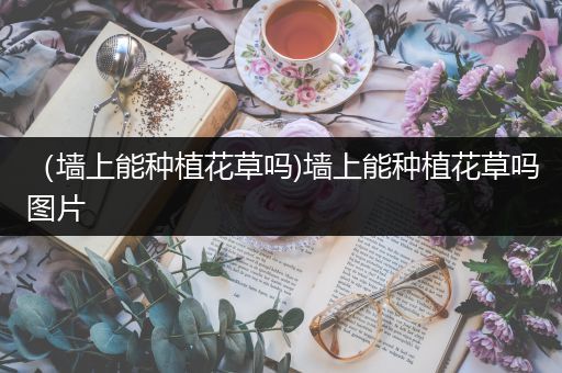 （墙上能种植花草吗)墙上能种植花草吗图片