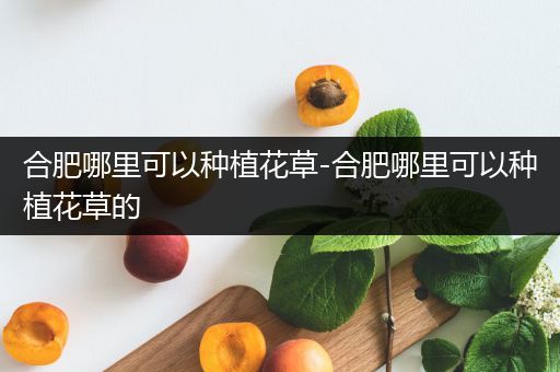 合肥哪里可以种植花草-合肥哪里可以种植花草的