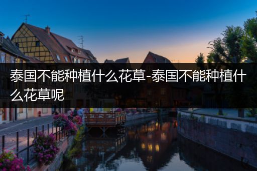 泰国不能种植什么花草-泰国不能种植什么花草呢