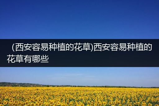 （西安容易种植的花草)西安容易种植的花草有哪些