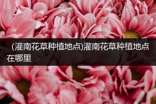 （灌南花草种植地点)灌南花草种植地点在哪里