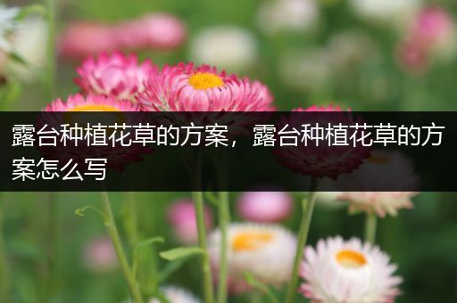 露台种植花草的方案，露台种植花草的方案怎么写