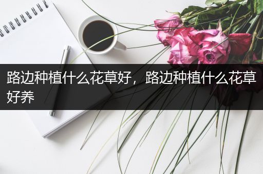 路边种植什么花草好，路边种植什么花草好养