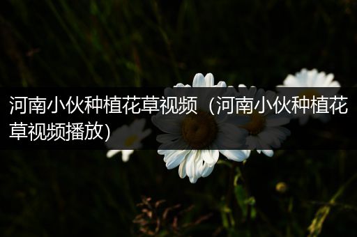 河南小伙种植花草视频（河南小伙种植花草视频播放）